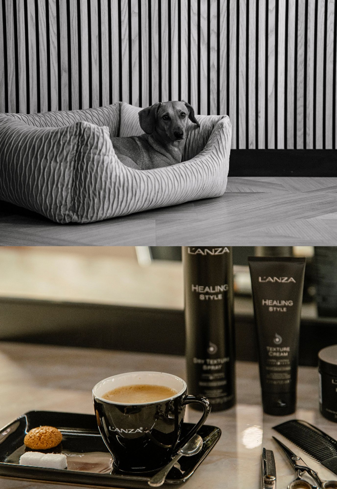 Figaro hond en producten en koffie