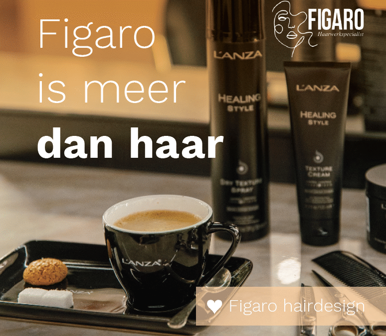 Meer dan haar …